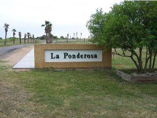 Foreclosed Home - 24418 LA PONDEROSA DR, 78368