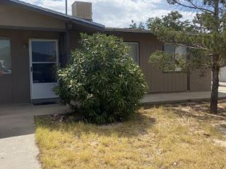 Foreclosed Home - 10132 WOLVERINE DR, 79924