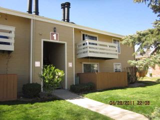 Foreclosed Home - 10251 W 44TH AVE UNIT 1-205, 80033