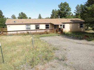 Foreclosed Home - 23605 EMERALD TRL, 80105