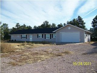Foreclosed Home - 22766 MANNING DR, 80106