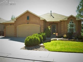 Foreclosed Home - 16274 GOLD CREEK DR, 80132