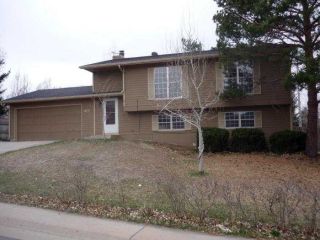 Foreclosed Home - 11633 HOT SPRINGS DR, 80138