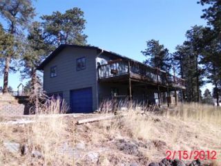 Foreclosed Home - 266 CONIFER DR, 80421
