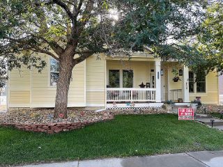Foreclosed Home - 5115 MT ST VRAIN AVE, 80504