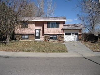 Foreclosed Home - 816 IRON MOUNTAIN CT, 80550