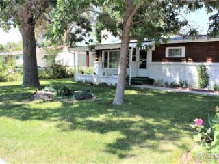 Foreclosed Home - 107 PINE ST, 80705