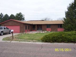 Foreclosed Home - 205 HOLLOWELL ST, 80807