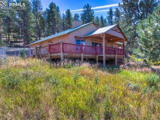 Foreclosed Home - 414 CRYSTAL PEAK RD, 80816