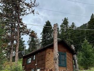 Foreclosed Home - 10345 ASPEN ST, 80819