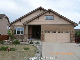 Foreclosed Home - 12225 ANGELINA DR, 80831