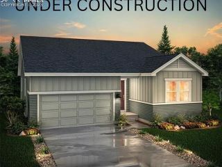 Foreclosed Home - 10793 ROLLING MESA DR, 80831