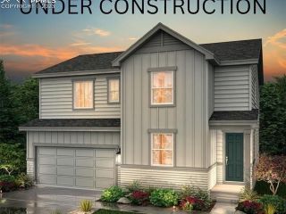 Foreclosed Home - 10779 ROLLING MESA DR, 80831