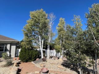 Foreclosed Home - List 101140377