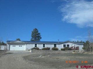 Foreclosed Home - 10855 W HIGHWAY 160, 81147
