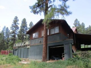Foreclosed Home - 331 Evergreen Dr, 81147