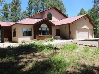 Foreclosed Home - 535 CLOUD CAP AVE, 81147