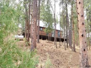 Foreclosed Home - 709 SPRUCE DR, 81252