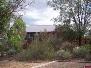 Foreclosed Home - 31850 ROAD P, 81328