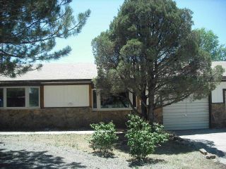 Foreclosed Home - 20218 PLATEAU DR, 81410