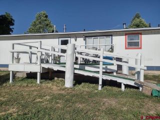 Foreclosed Home - 890 GRAPE ST, 81424