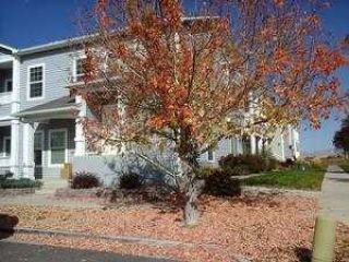 Foreclosed Home - 2468 Thunder Mountain Dr Unit 1205, 81505