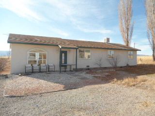 Foreclosed Home - 1685 14 RD, 81524