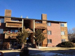 Foreclosed Home - 86 ROARING FORK AVE APT B1, 81623