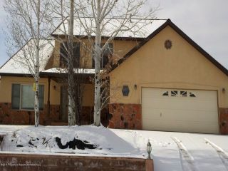 Foreclosed Home - 1075 HICKORY DR, 81650