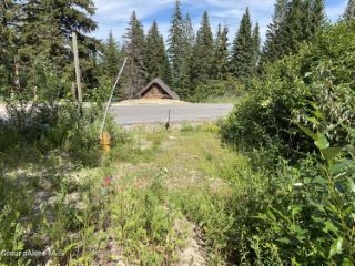 Foreclosed Home - 362 ULLR DR, 83864