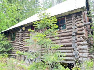Foreclosed Home - 2875 CABIN RIDGE RD, 83869