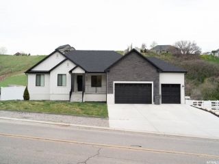 Foreclosed Home - 319 N LOAFER CANYON RD, 84651