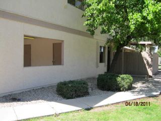 Foreclosed Home - 286 W PALOMINO DR UNIT 150, 85225