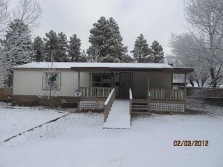 Foreclosed Home - 2260 W PARK VALLEY RD, 85901