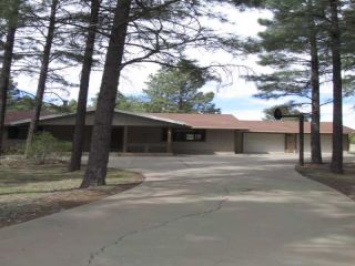 Foreclosed Home - 9322 GRIZZLY BEAR RD, 85929