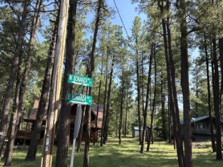 Foreclosed Home - List 101149387