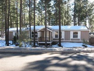 Foreclosed Home - 2261 W SHORTLINE CT, 86001