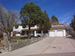 Foreclosed Home - 800 STAGHORN PL, 87401