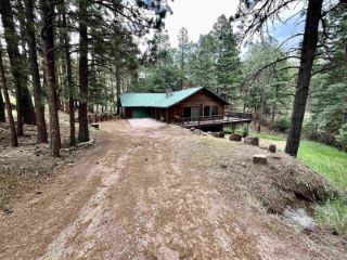 Foreclosed Home - 130 VAIL LOOP, 87710