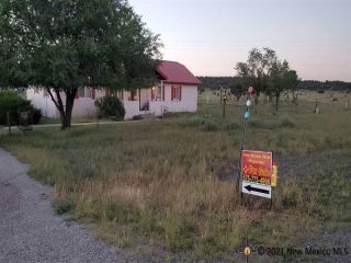 Foreclosed Home - 523 HIGHWAY 36, 87829