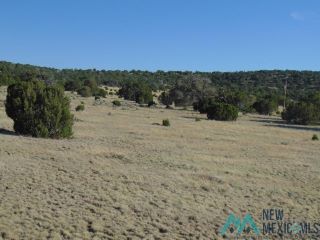 Foreclosed Home - (Range 1 - 99) OLD RANCH RD, 87829