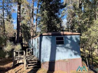Foreclosed Home - 3 DAM RD, 88317