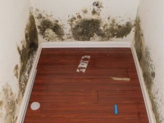 Foreclosed Home - List 100714131