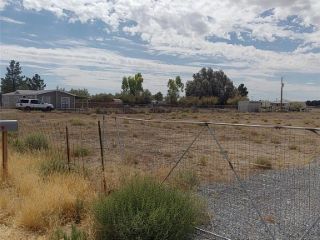 Foreclosed Home - List 100904022