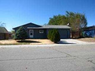 Foreclosed Home - 815 OVERLAND LOOP, 89403