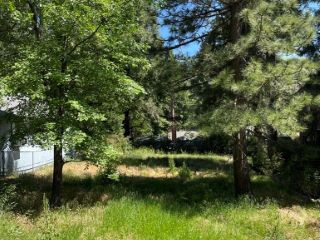 Foreclosed Home - 24024 PIONEER CAMP RD, 92325