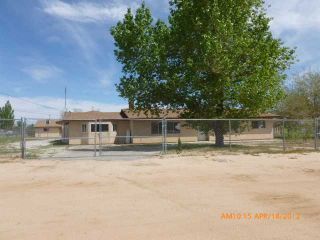 Foreclosed Home - 16202 CACTUS ST, 92345