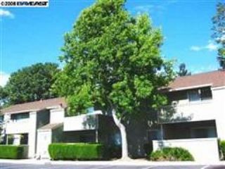 Foreclosed Home - 37292 SPRUCE TER, 94536