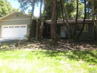 Foreclosed Home - 24197 CAMELLIA DR, 95490