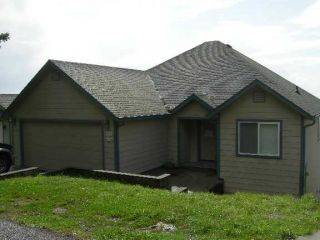 Foreclosed Home - 213 DU LUARD RD, 95589